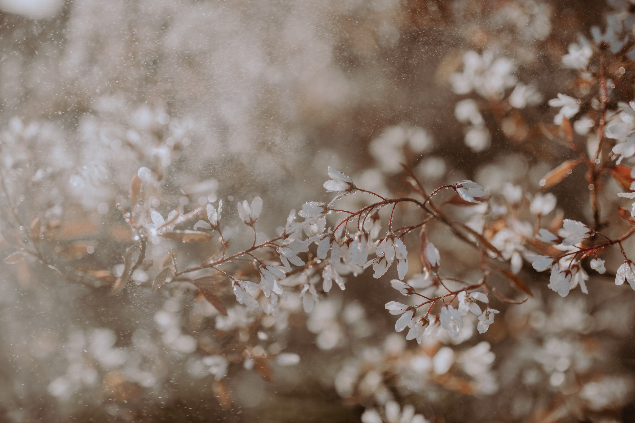 FOTO KM lifestyle 03