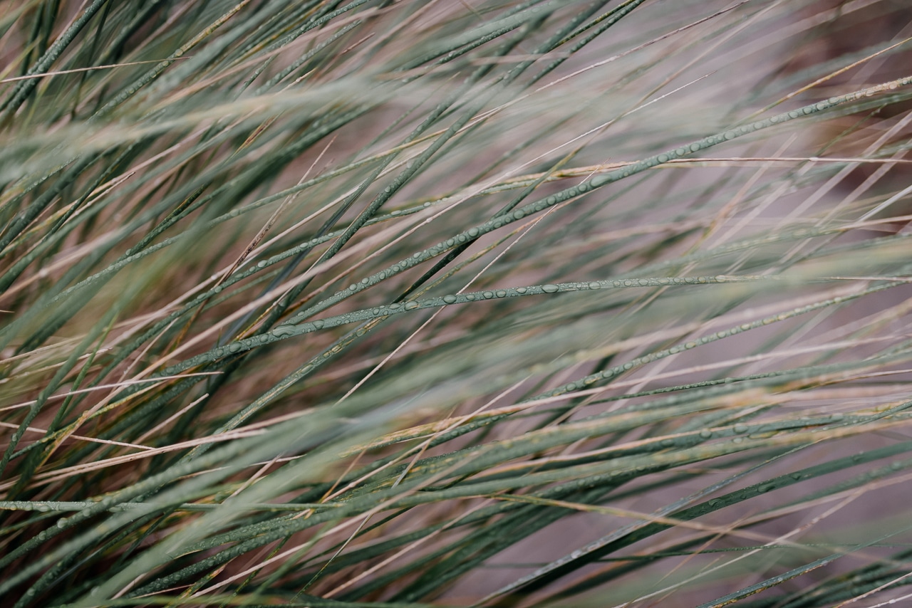 FOTO KM- sneak preview-13