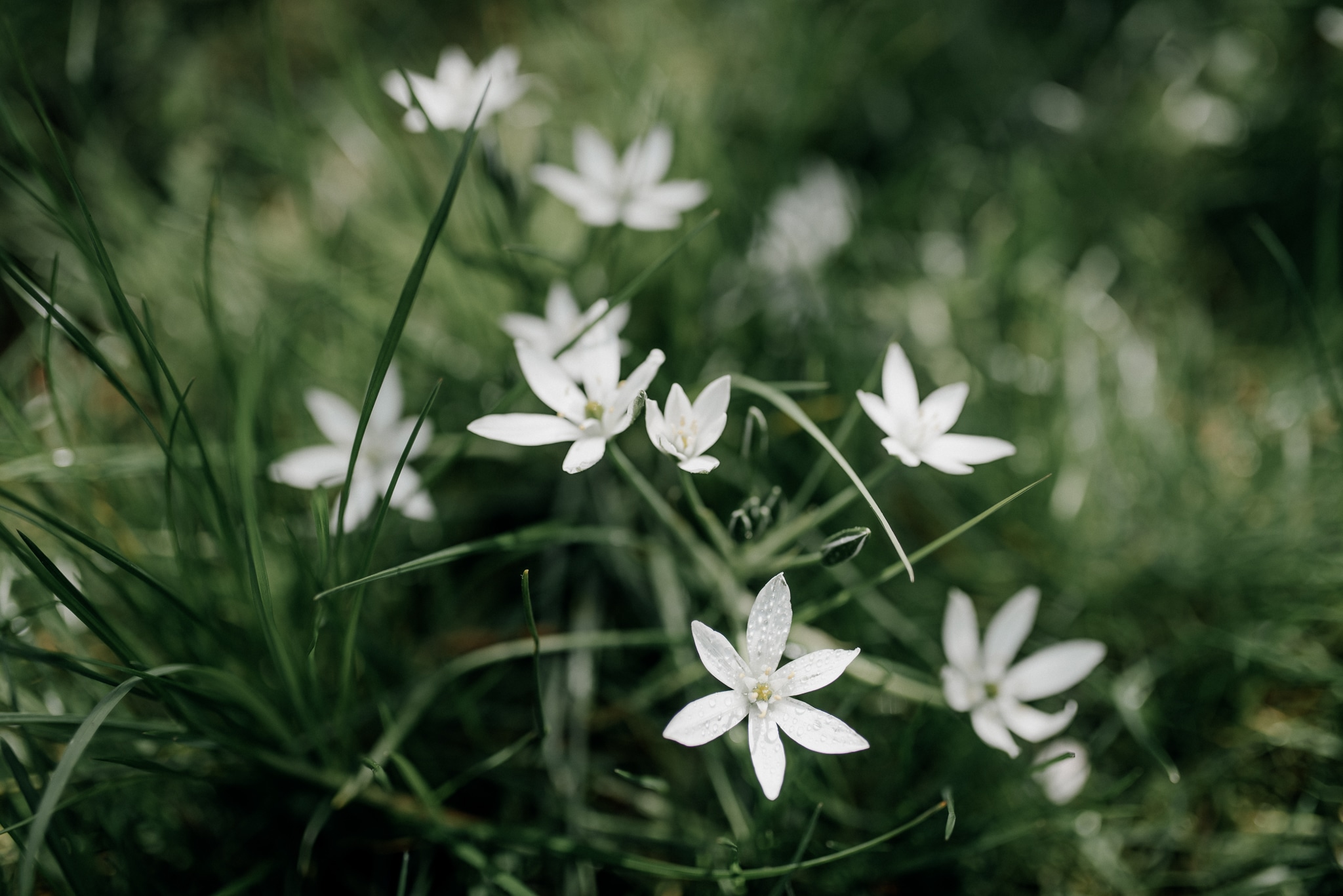 FOTO KM- natuur fotografie-152