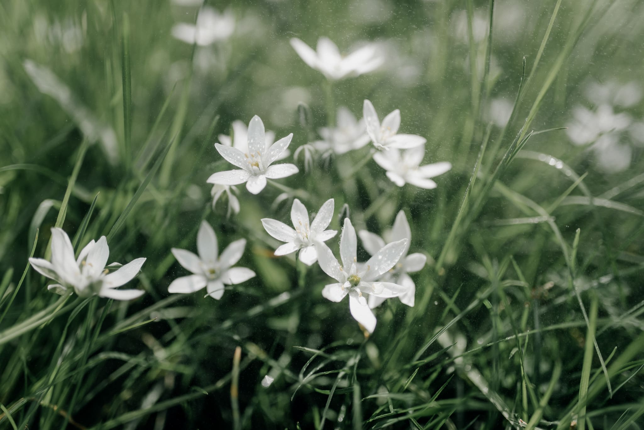 FOTO KM- natuur fotografie-160