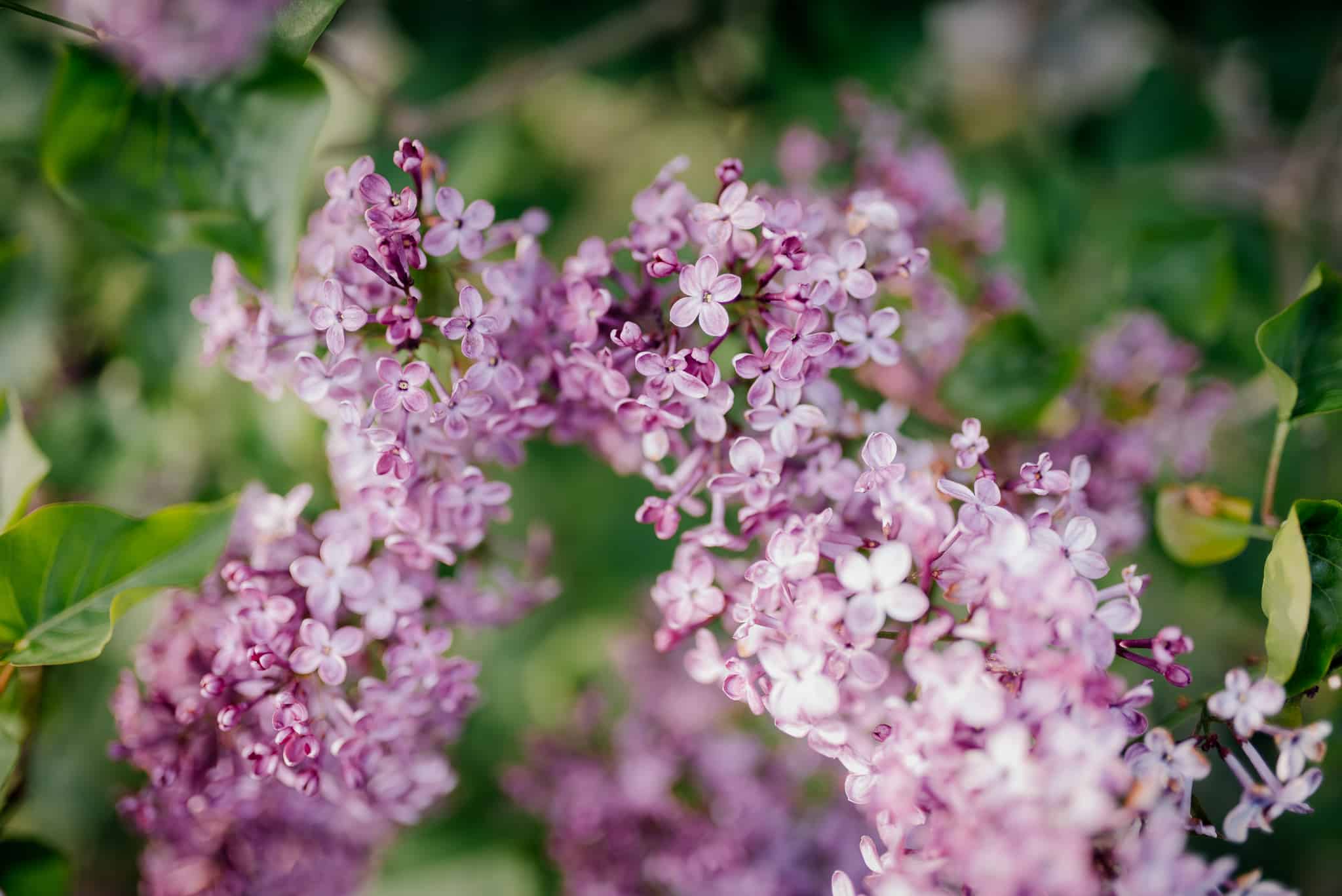 FOTO KM- natuur fotografie-375